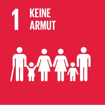 1 SDG